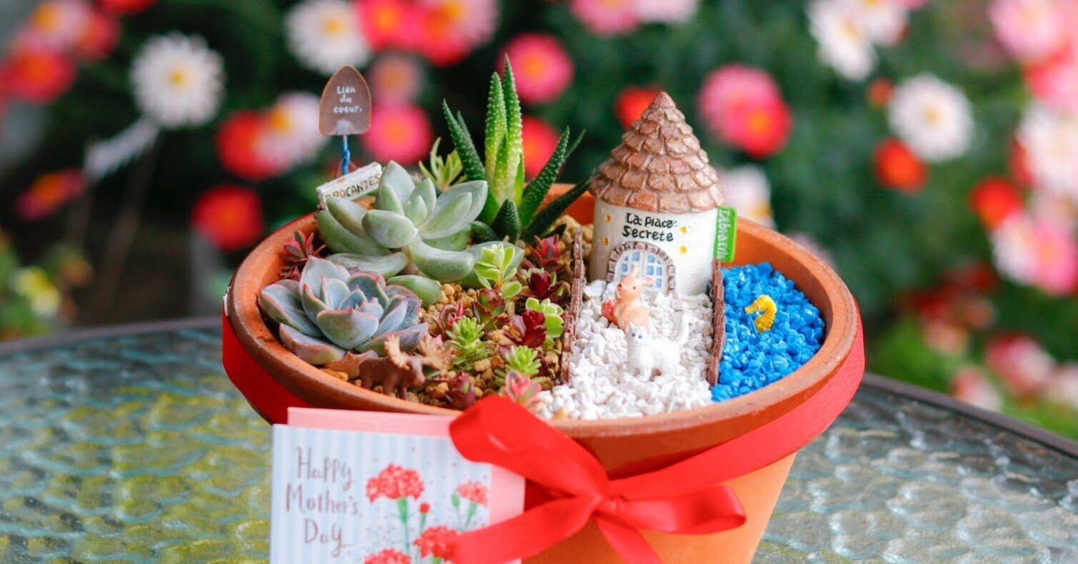 そのまま飾れる〜多肉植物寄せ植え(ハンドメイド、クリスマス)