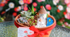 箱庭ミニチュアガーデンがおもしろい｜Jasmin