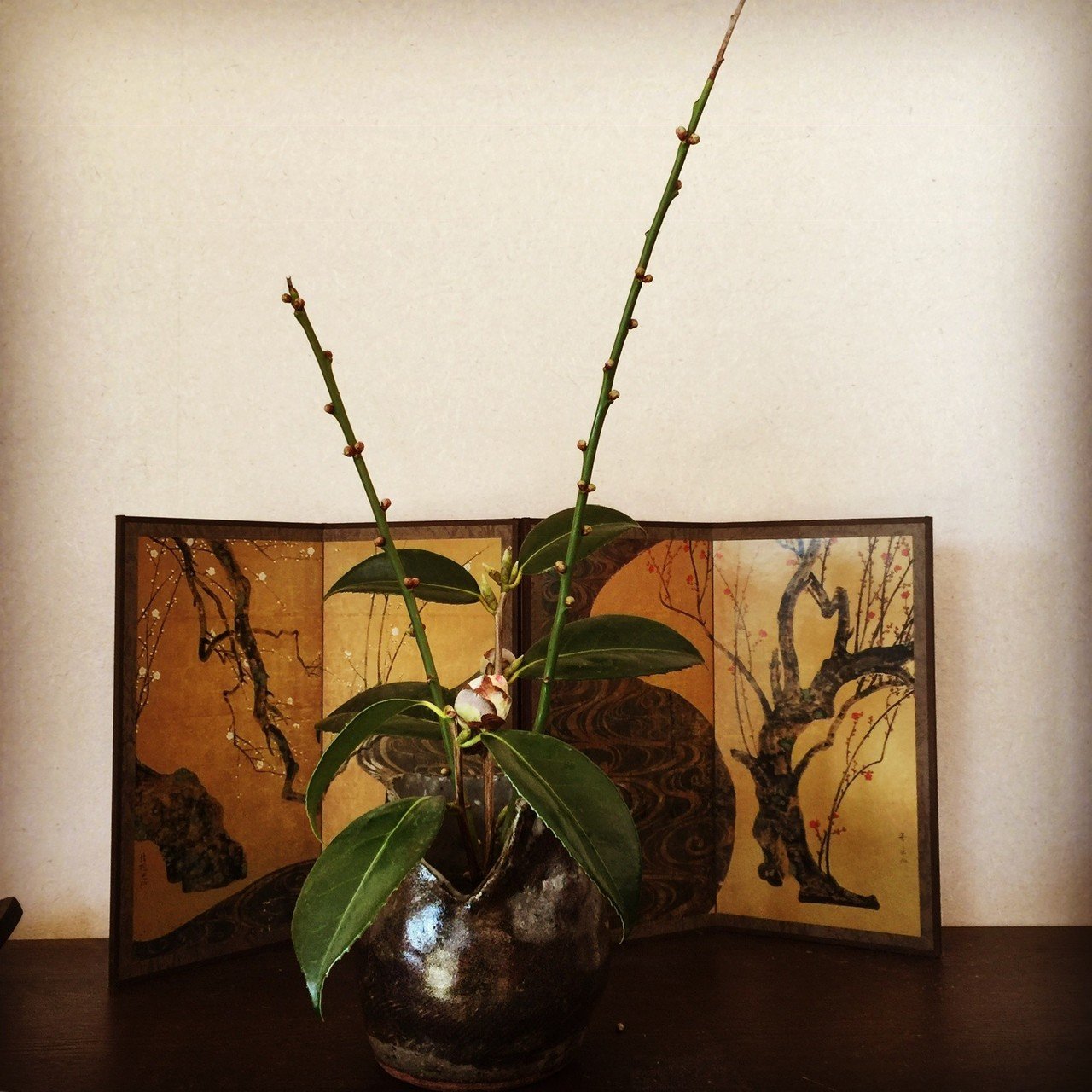 茶花の二十四節気 立春 太田泉 太泉 Note