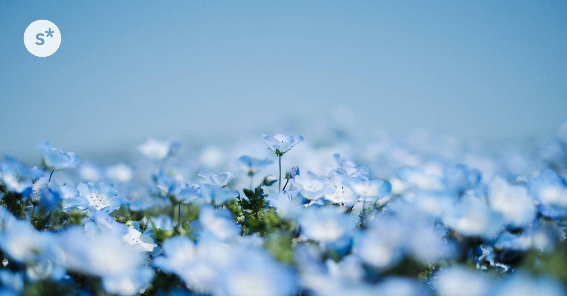 見渡す限りの青に囲まれる不思議な世界へ｜Yusuke Miura / starnote*