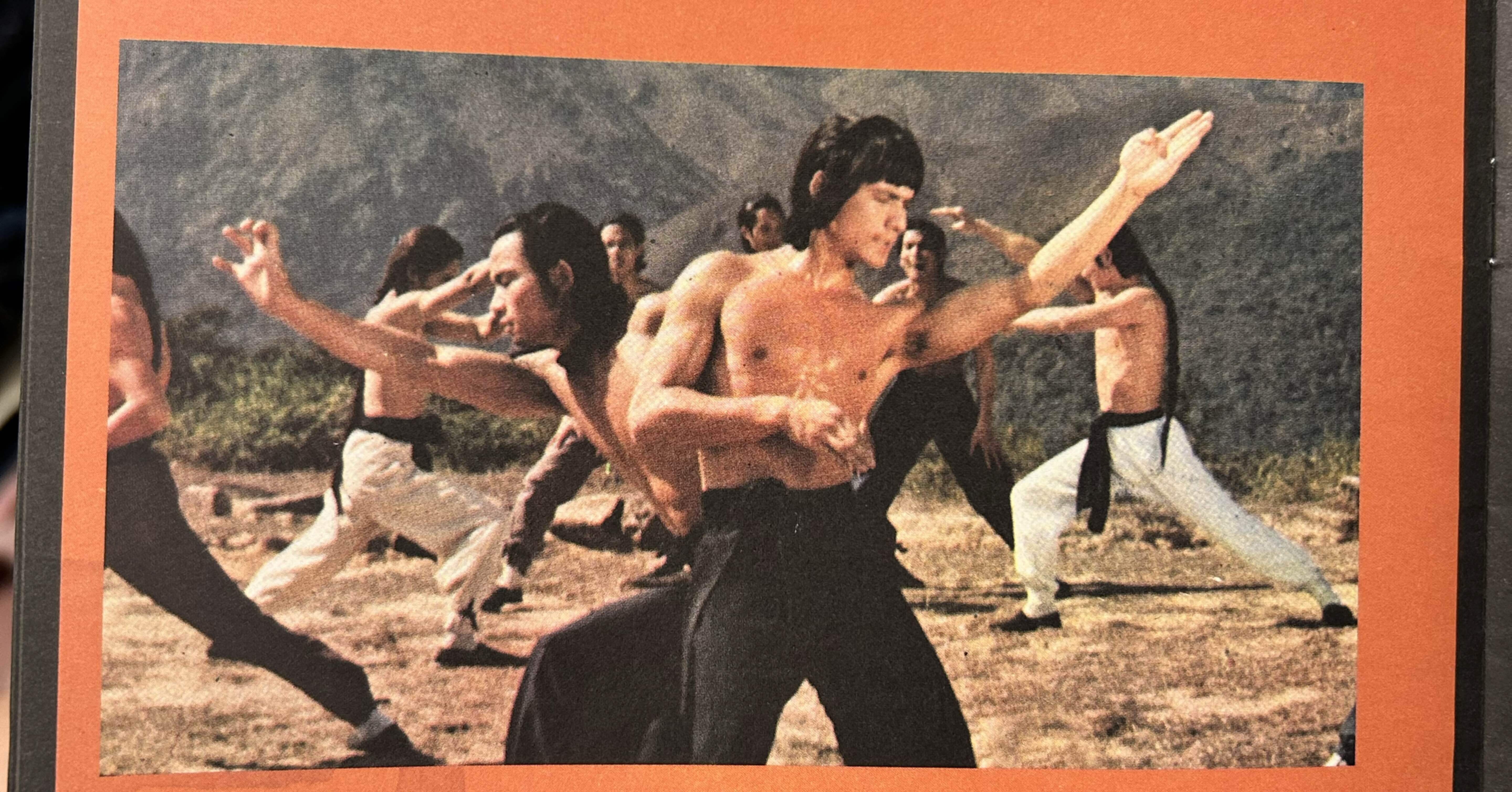 香港電影鑑賞記：武影江湖『洪拳與詠春 Shaolin Martial Arts』Teach