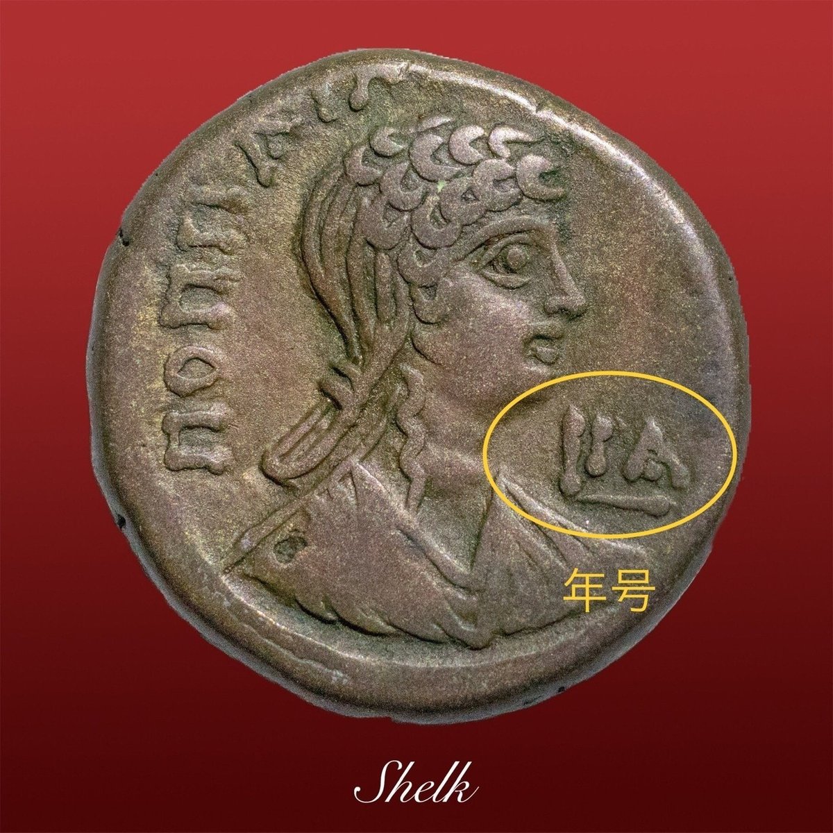 アンティークコインの世界 〜アンティークコインとの出会い ・続〜｜Shelk🦋