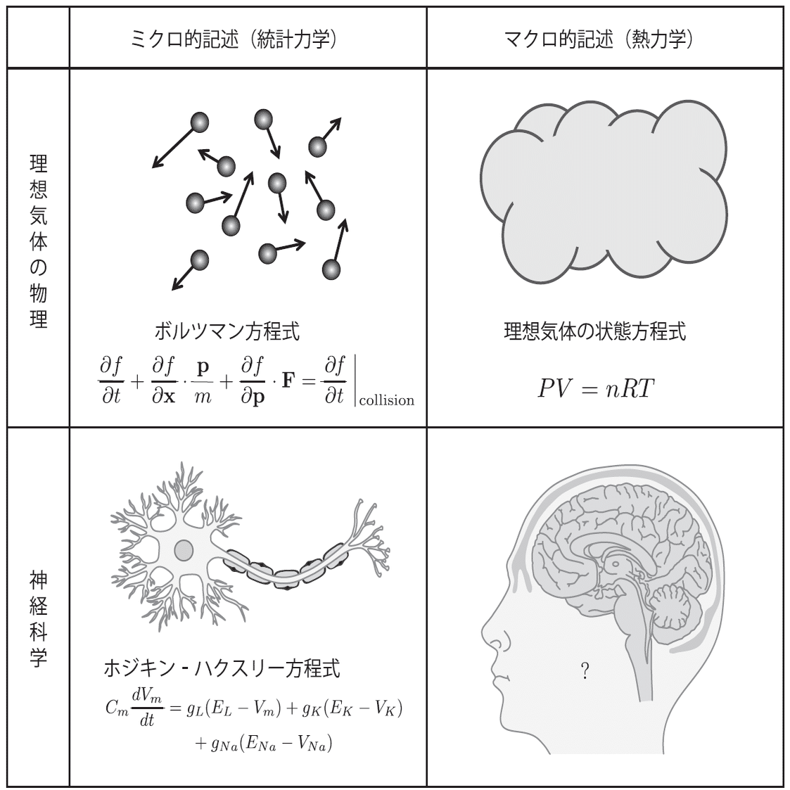神経科学は脳をどこまで理解したか｜森北出版