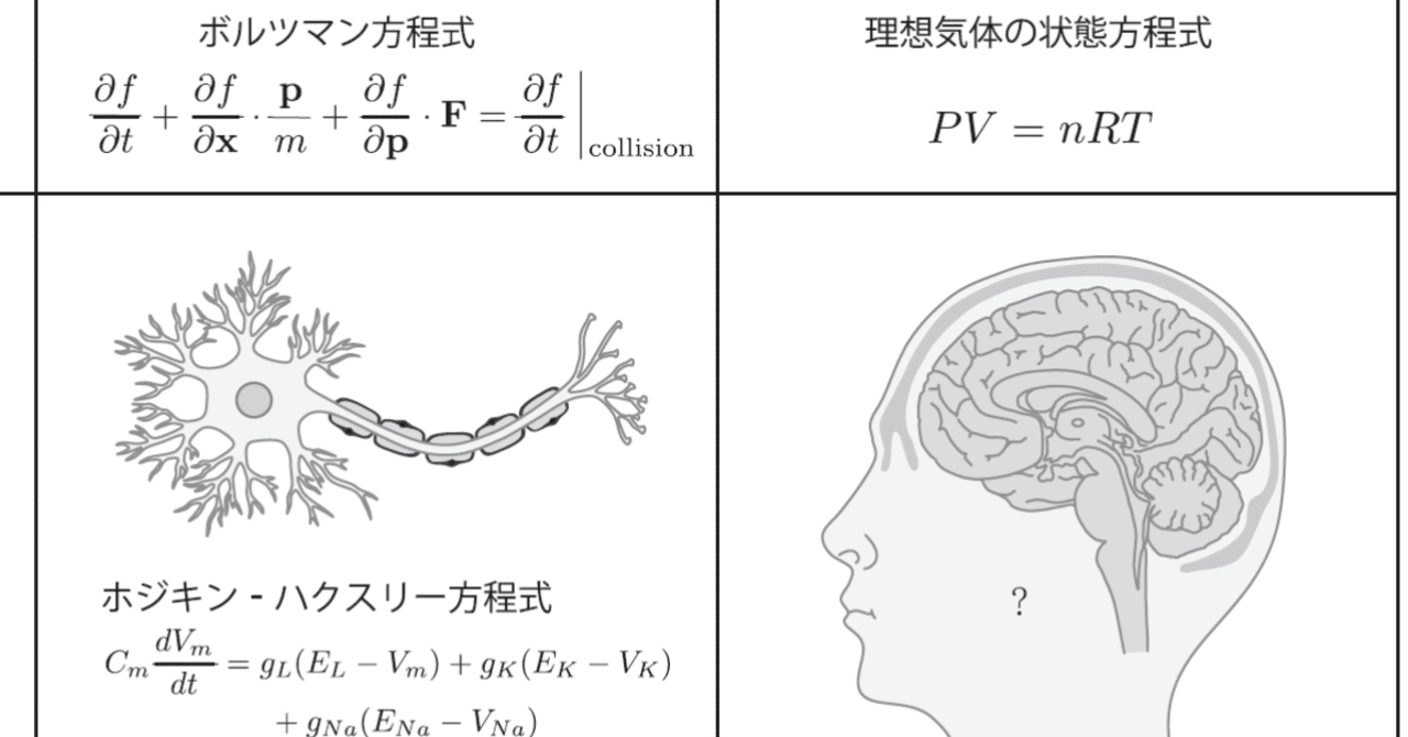 イラストレクチャー認知神経科学 : 心理学と脳科学が解くこころ