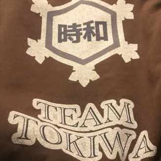 ジージーエンドデッキレシピ ワンショットアローラライチュウ 楓 Team Tokiwa Note