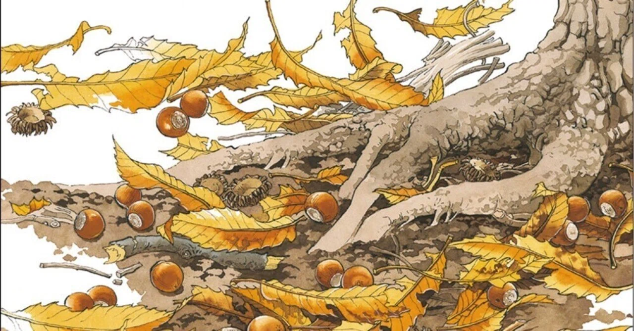 5月24日発売の新刊のご案内】ぼくの自然観察記 ドングリのたんけん