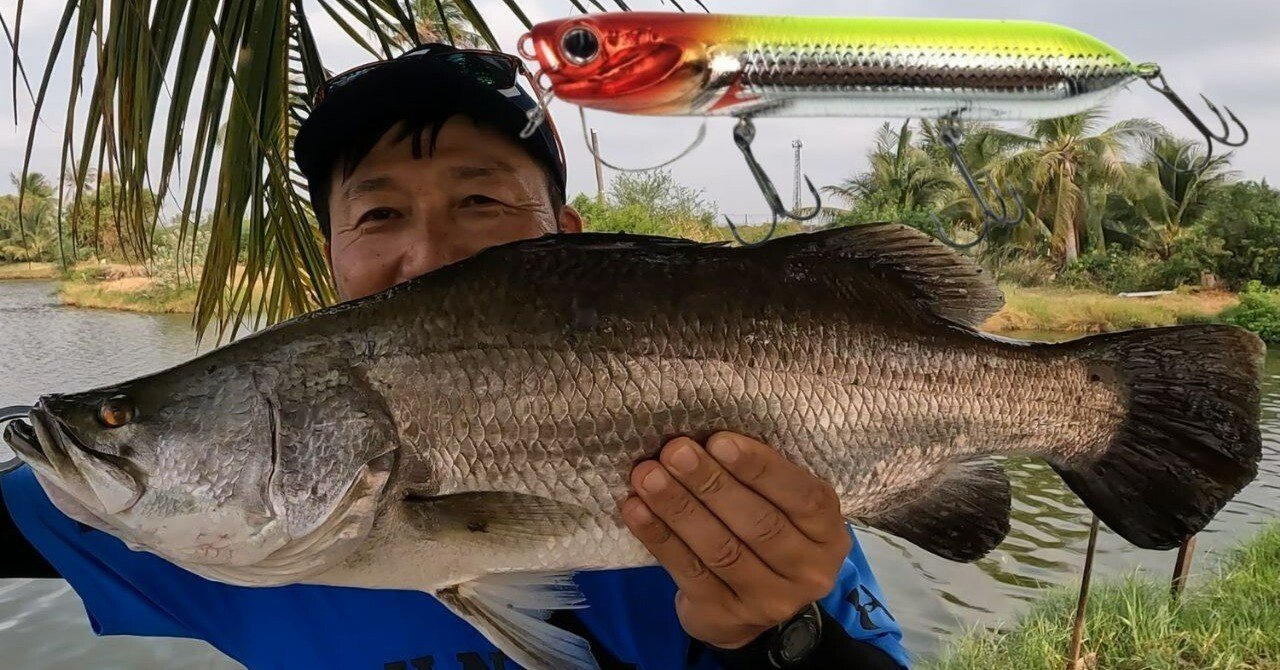 トップで楽しむバラマンディ釣堀 バンコク・アーサーフィッシング