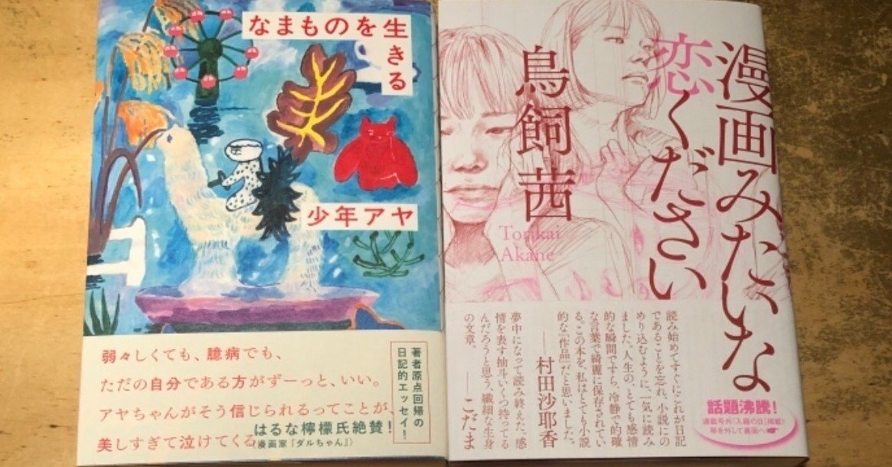 公開型の日記を書くということ Trance Shiho Note