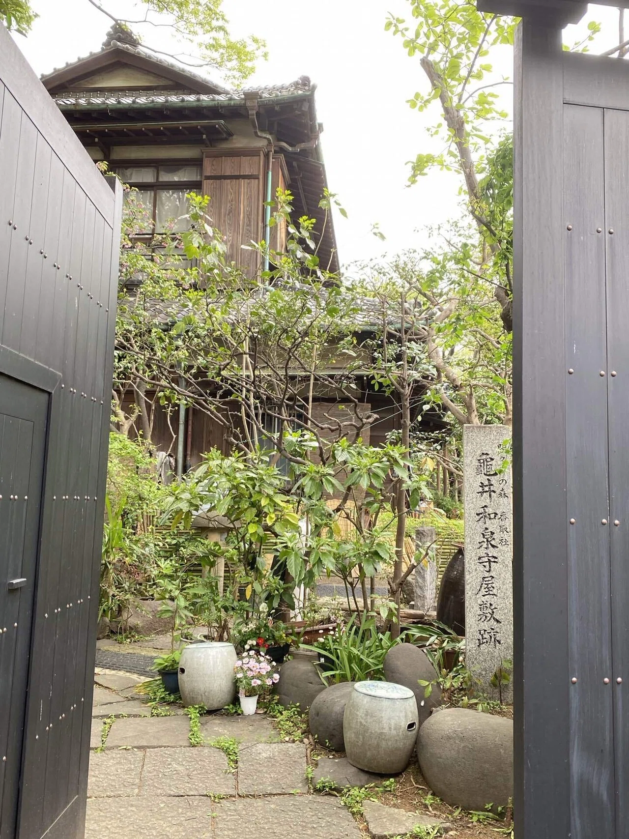 名付け親は「暴れん坊将軍」｜佃のタワシ