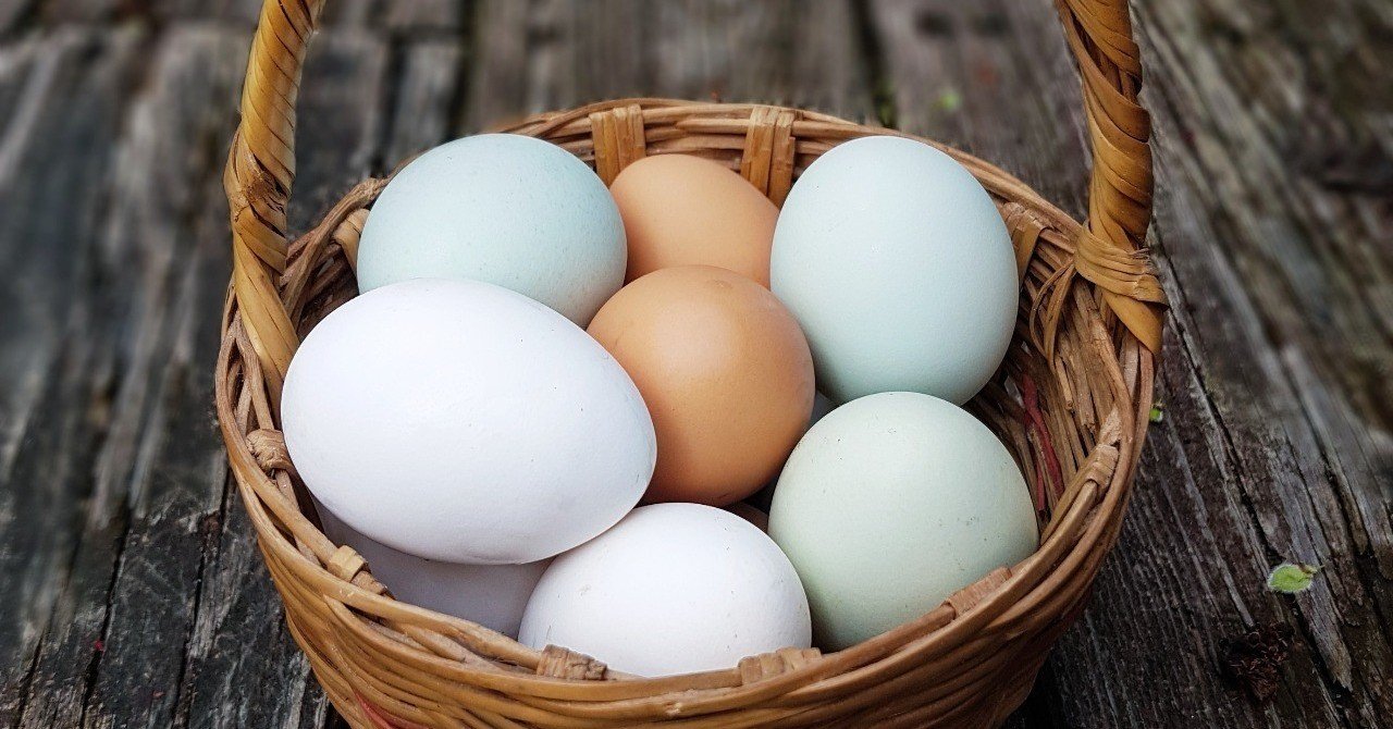 卵は1日何個まで食べるのが安全か Hiroko Aoyama Note