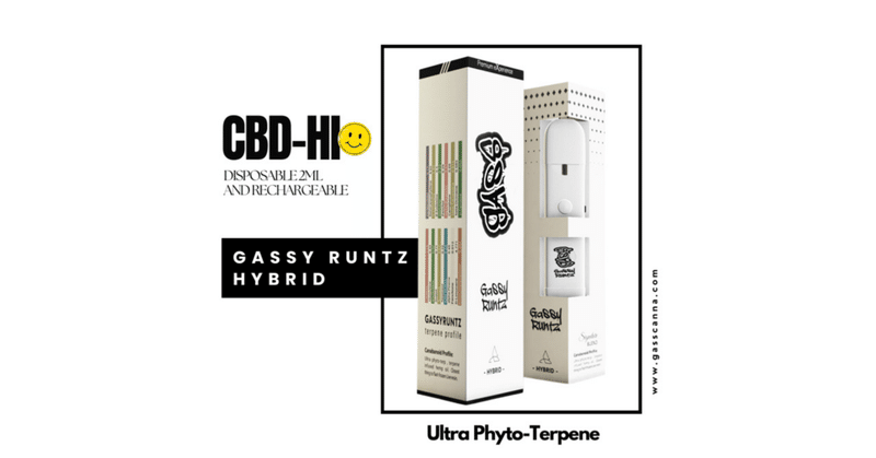 【即納！最大半額！】 CBD HI】 ガッシーランツ GASSY RUNTZ大容量 2ml（CBD-Hi  リラクゼーショングッズ