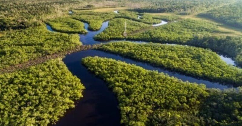 ブラジル、アマゾン、叔父の足跡