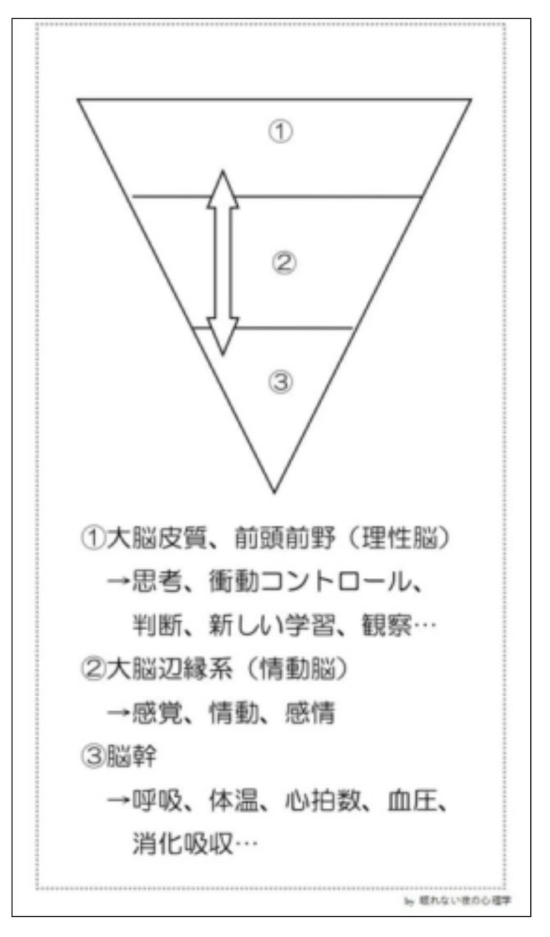 感情 感情をコントロールするためには 眠れない夜の心理学 Note