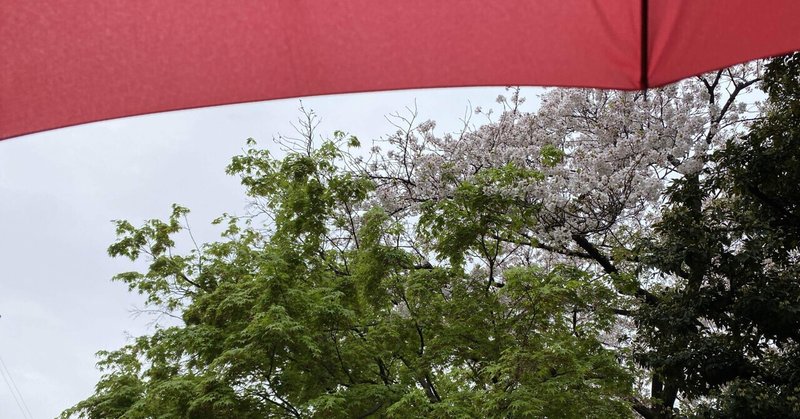 たまには雨の日に散歩するのも悪くない