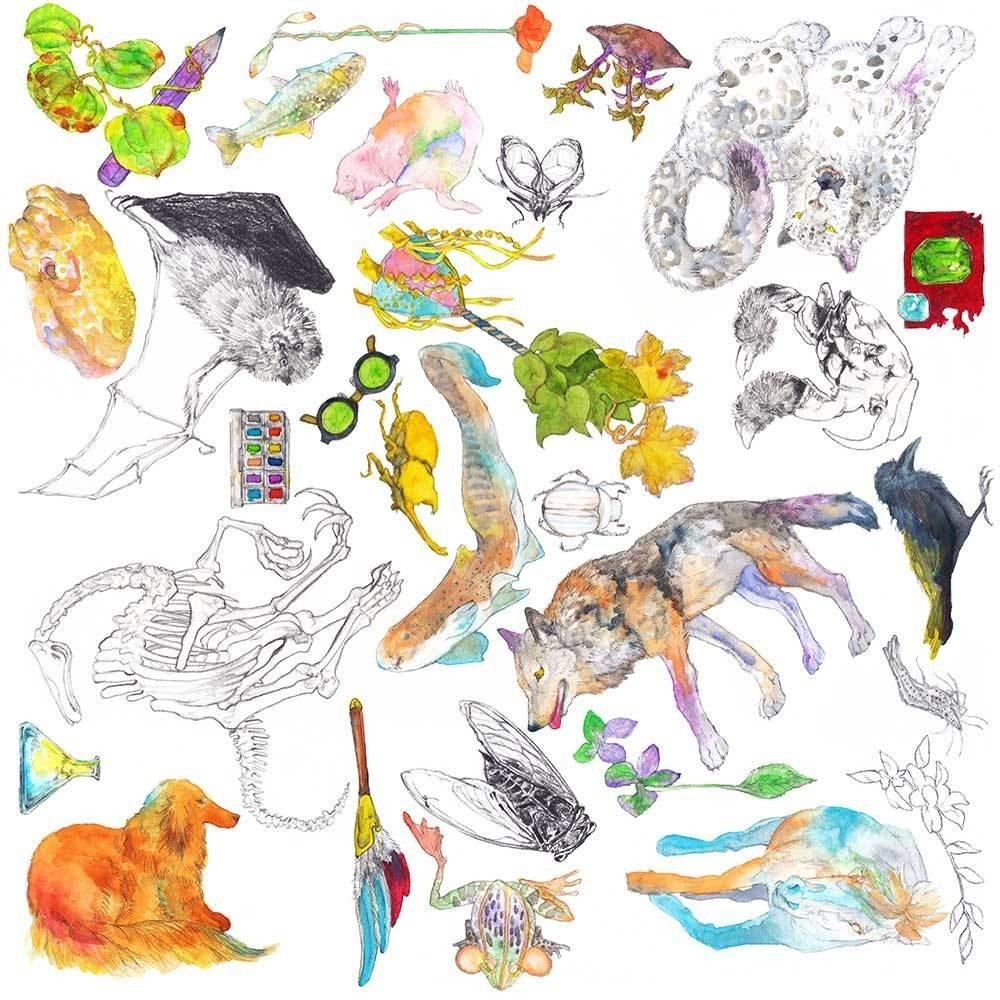 19年個展dmのイラストが完成しました 峰雪mineyuki Note 19年個展dmのイラストが完成しました 峰雪mineyuki Note