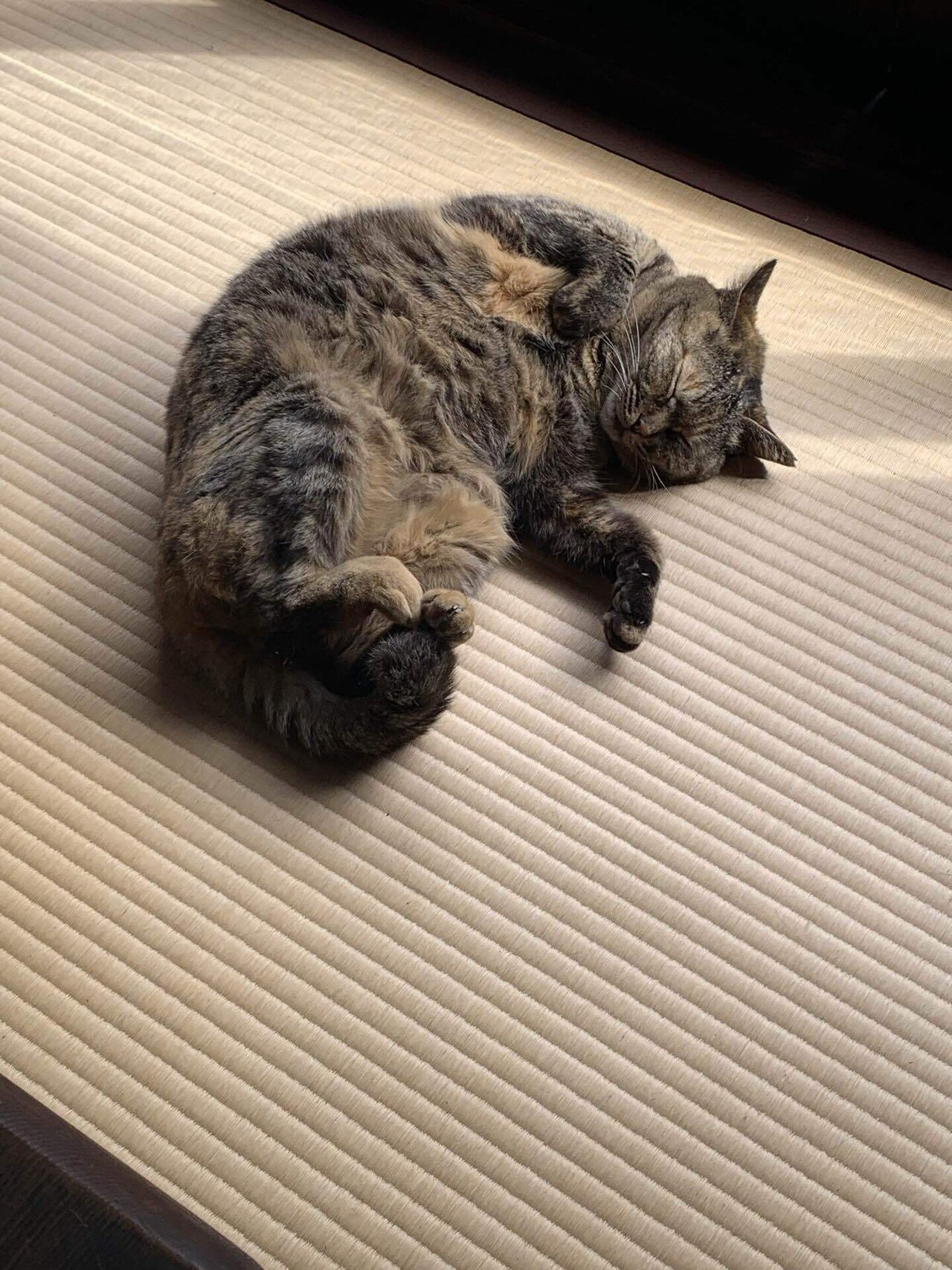 アートめぐり 河井寛次郎記念館｜もさ