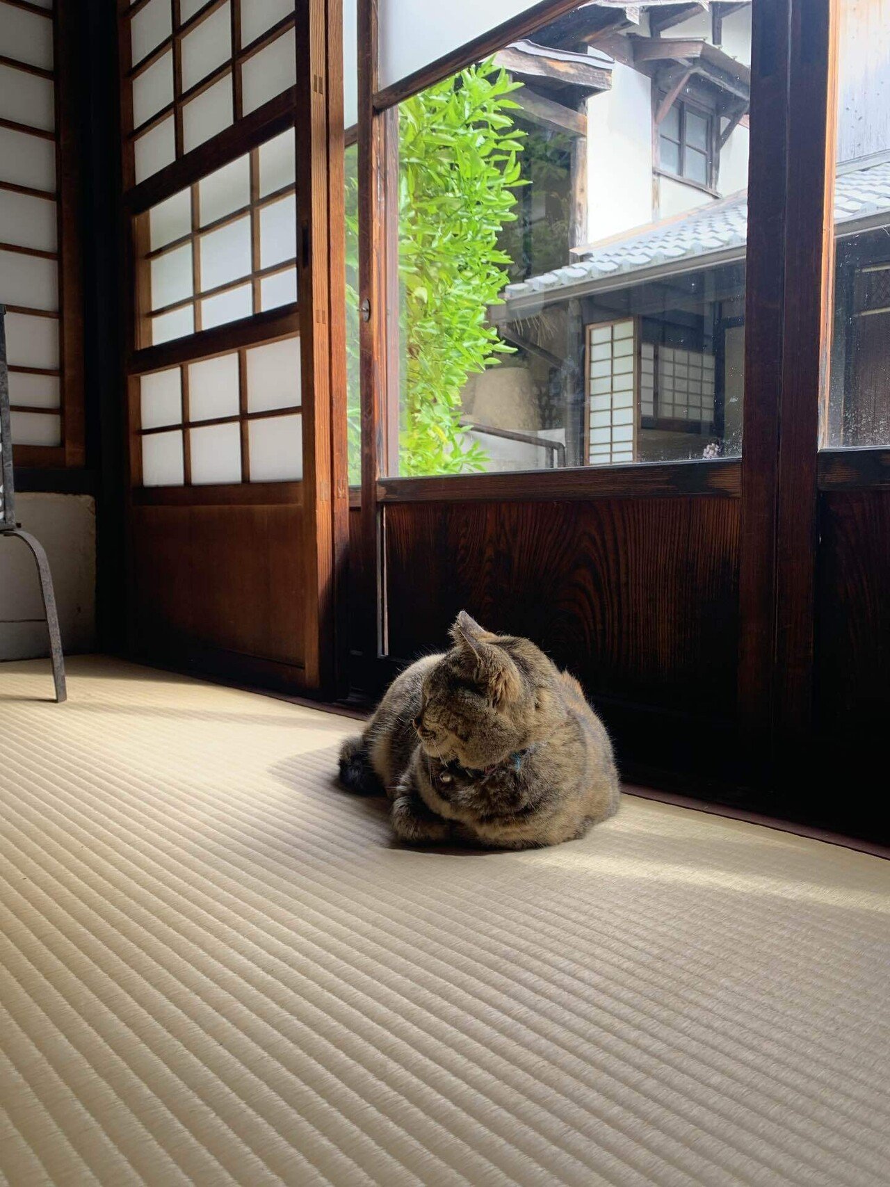 アートめぐり 河井寛次郎記念館｜もさ