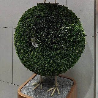 uni
