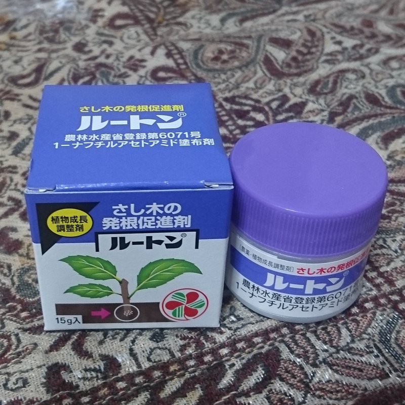 とうとう発根促進剤に手を出してしまいました Moipe Note とうとう発根促進剤に手を出してしまいました Moipe Note