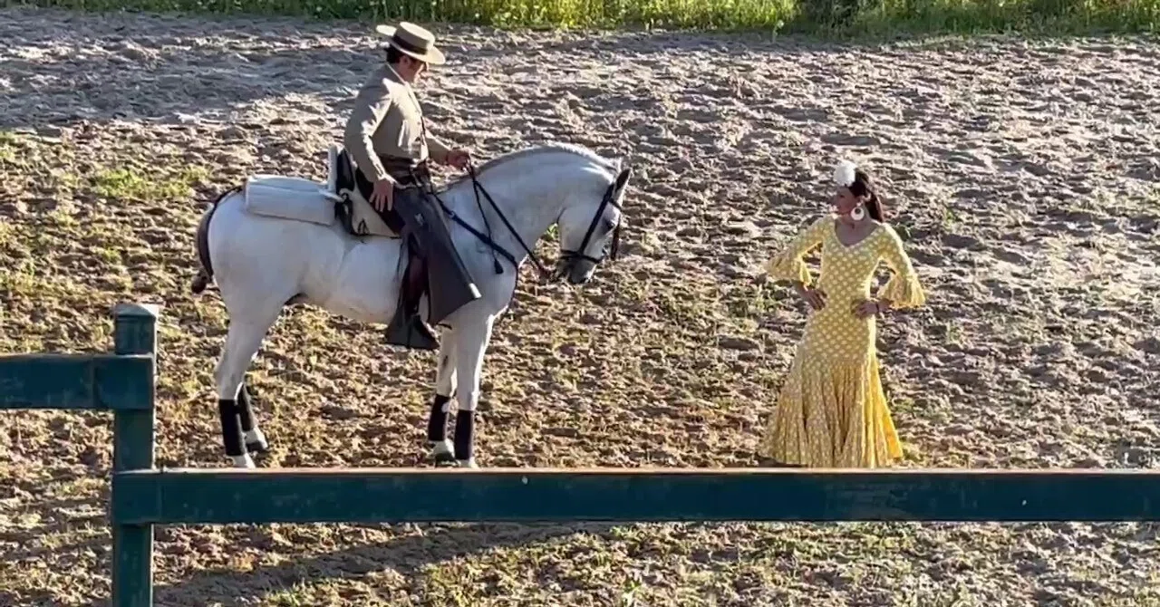 Flamenco Dancing with Horses｜mamamariko