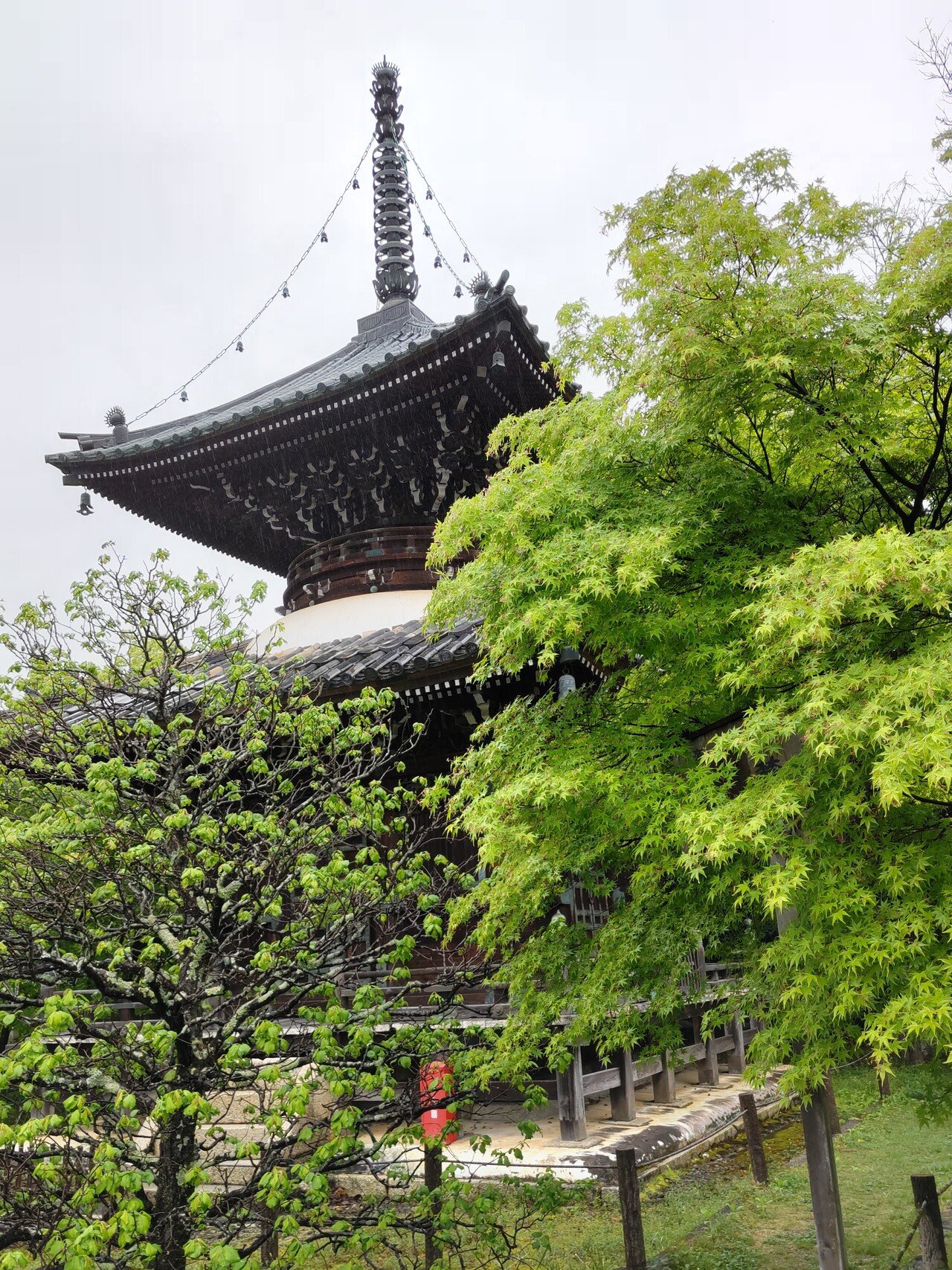 清凉寺多宝塔