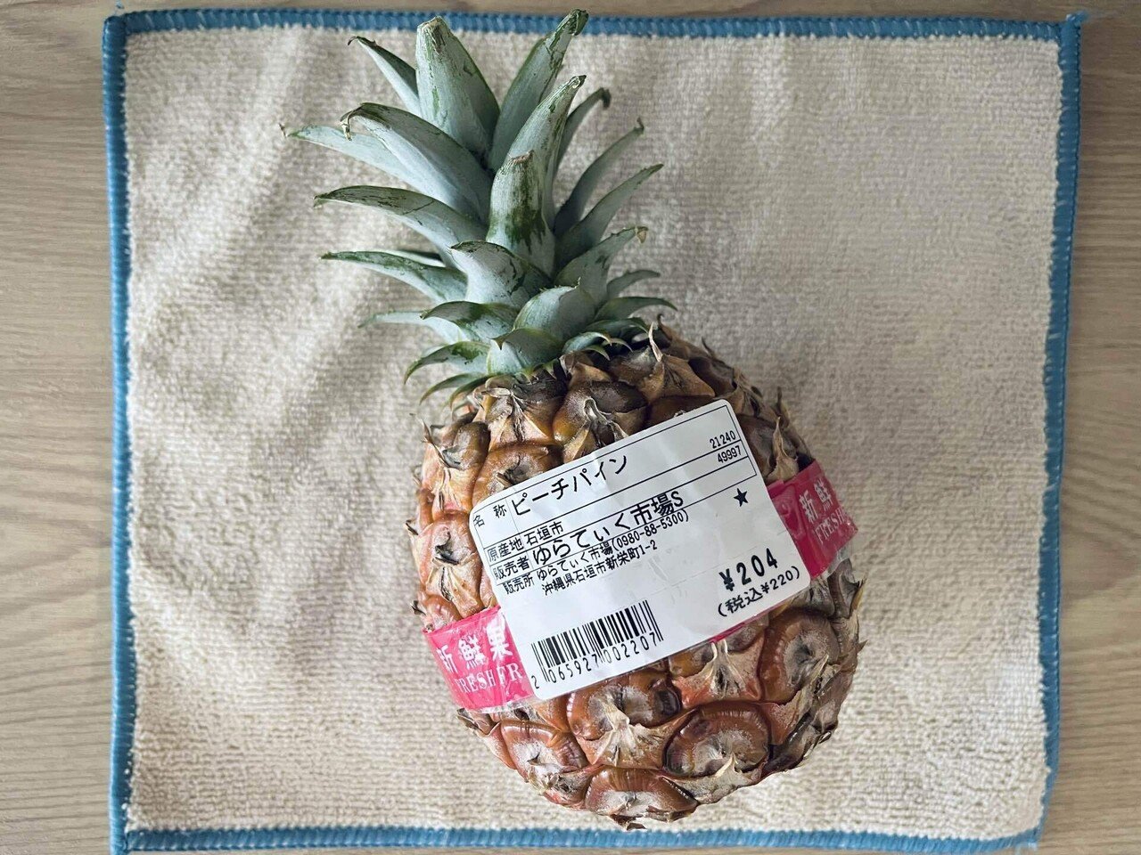 沖縄県石垣島産スナックパイン苗 沖縄県石垣島産スナックパイン苗 沖縄 パイナップル