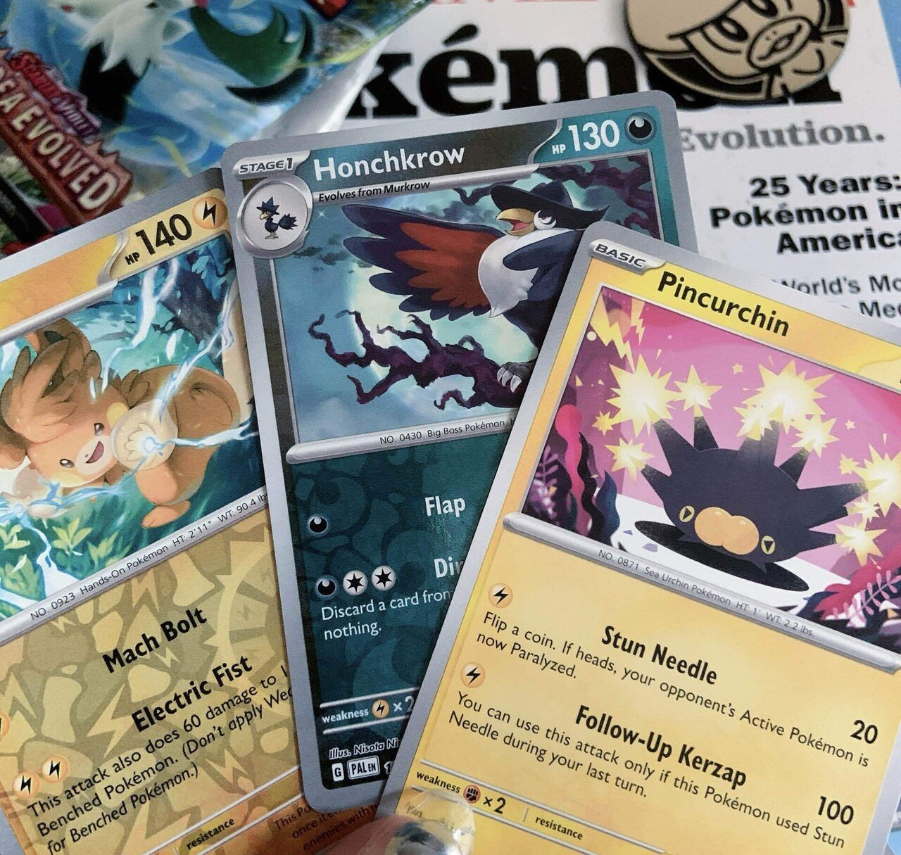 ポケモンgo サニーゴ 出現場所 海外ポケモンカード まとめ売り