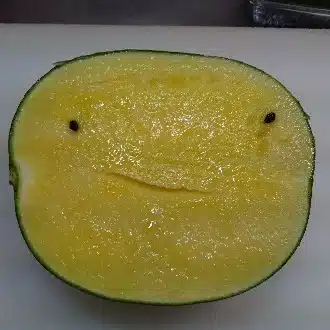 みそぎ