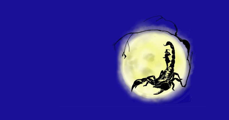 蠍座♏️満月🌕(2024年)