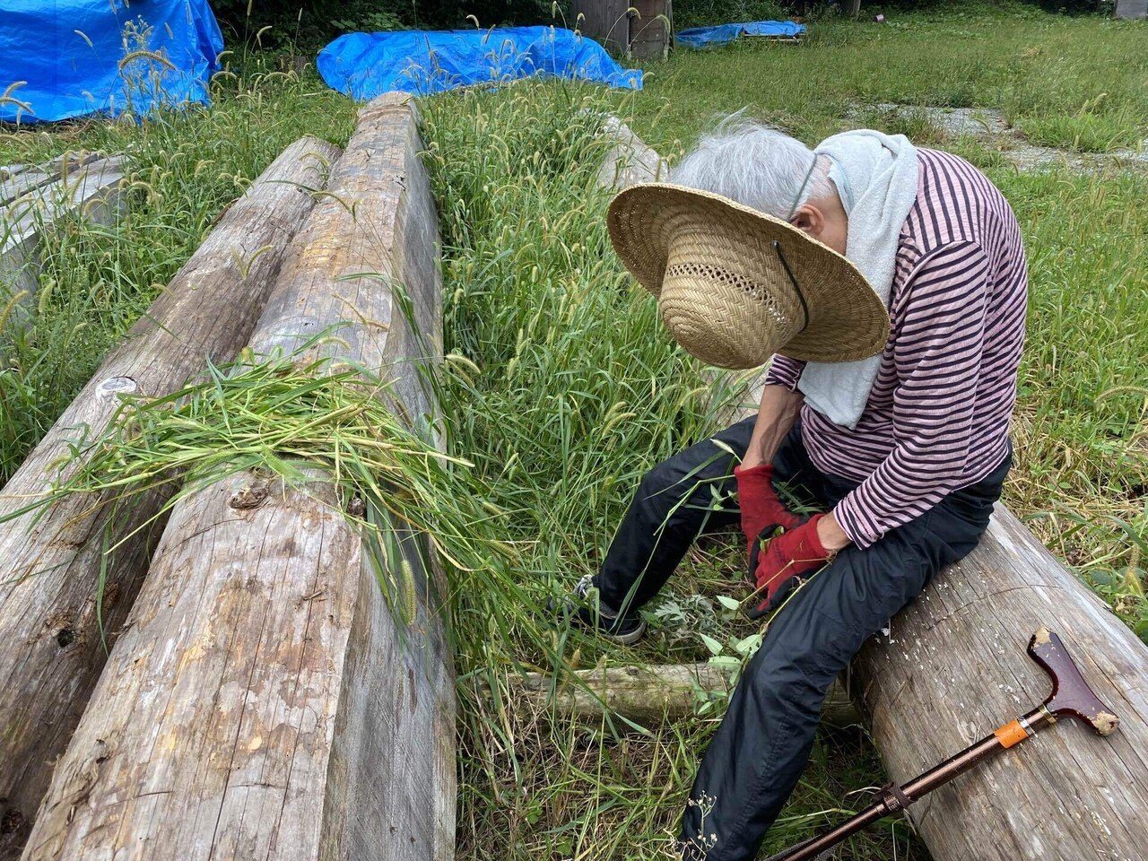 おばあちゃん日記その1【東京から高知へ移住！？】｜セイカ