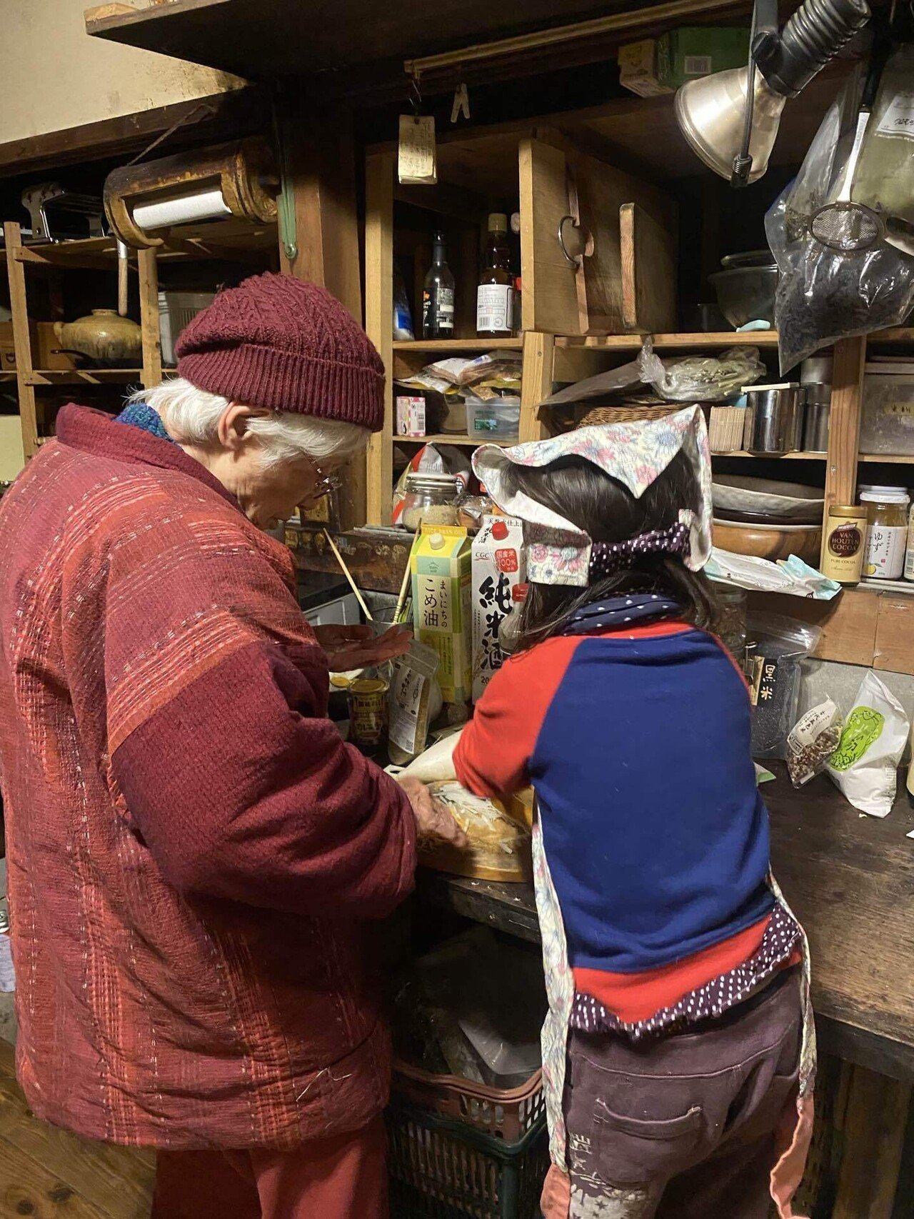 おばあちゃん日記その1【東京から高知へ移住！？】｜セイカ