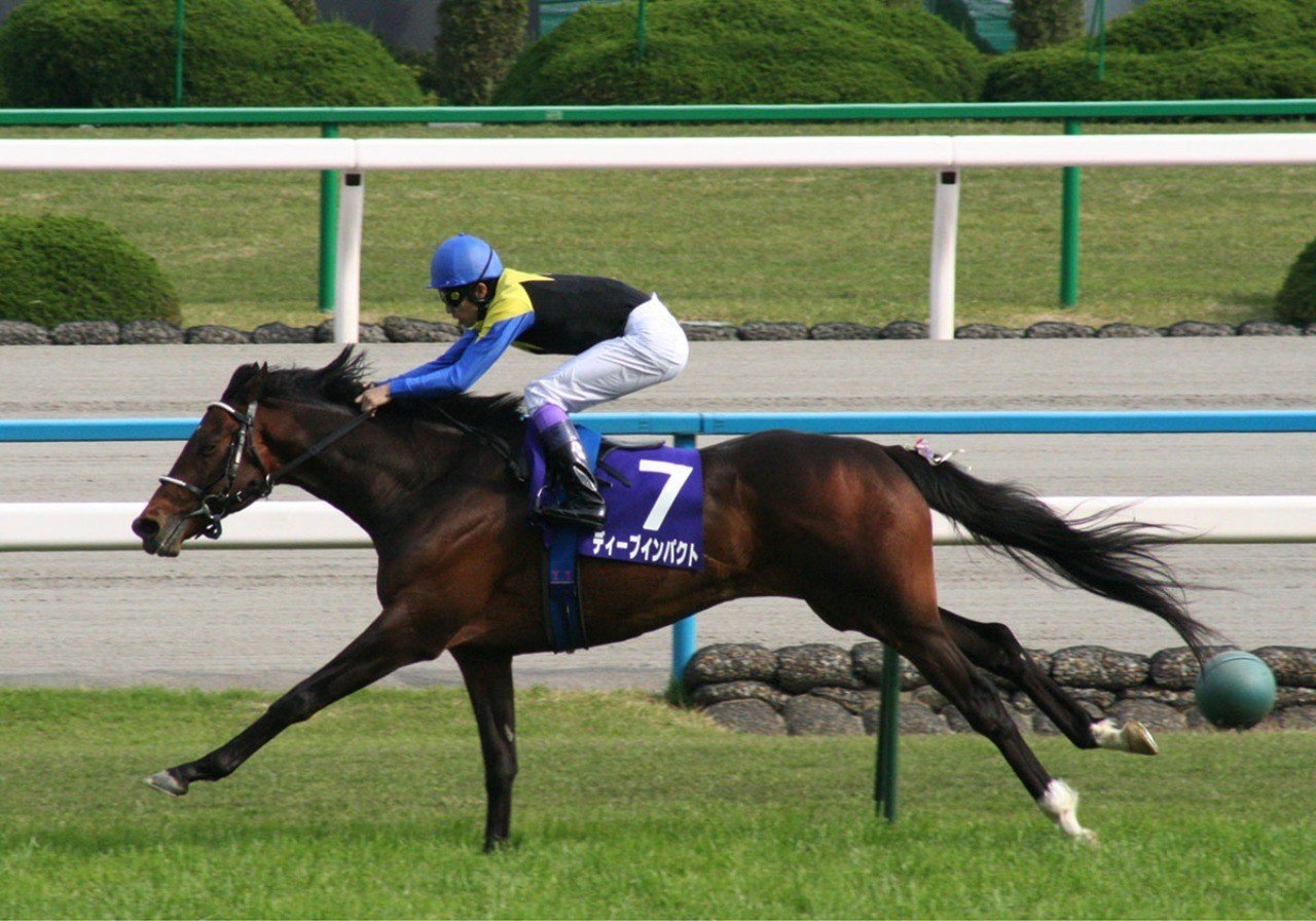 ディープインパクトは幸せだったのか オイパラさん Note