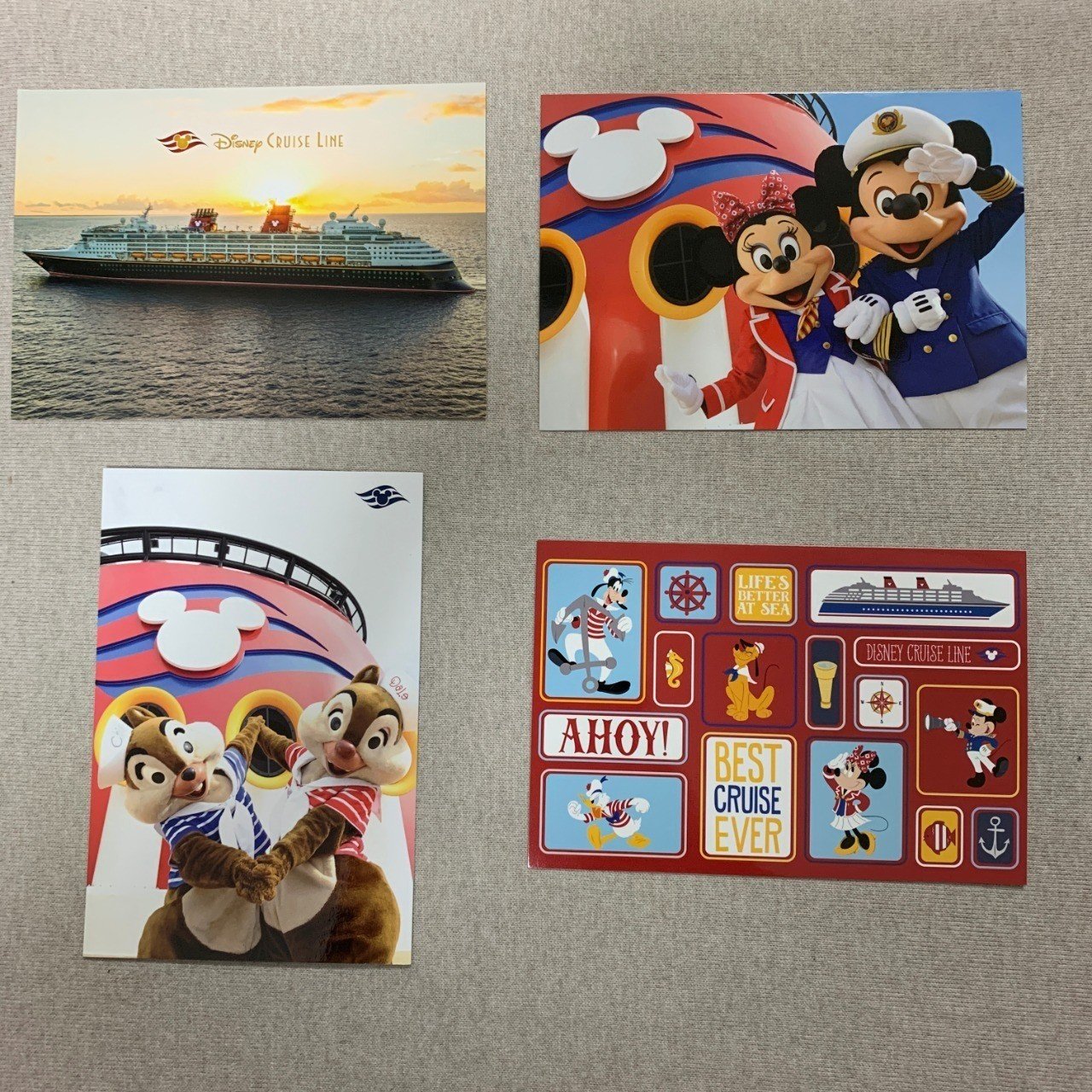 ディズニークルーズ Wdwグッズまとめ ゴミパンダたなか Note