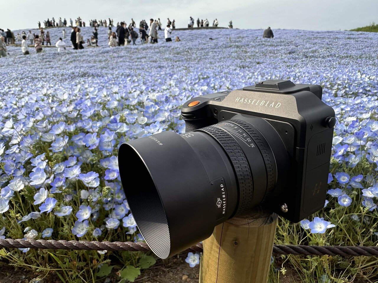 Hasselblad X2D II 100C【撮影枚数400枚程度】 新品)HASSELBLAD (ハッセルブラッド) X2D II 100C（商品ID