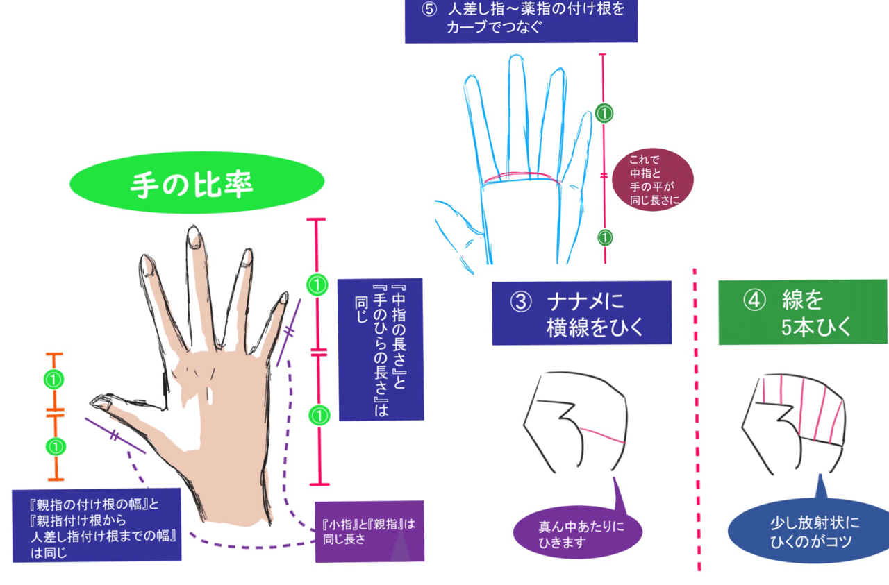 保存版 手の描き方 徹底解説 写真付き 武神 Note