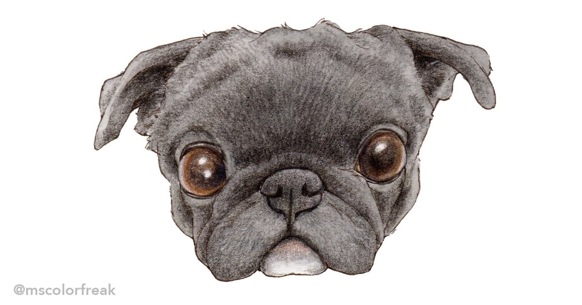 りんね様専用です。パグ 色鉛筆画 犬の絵 絵画