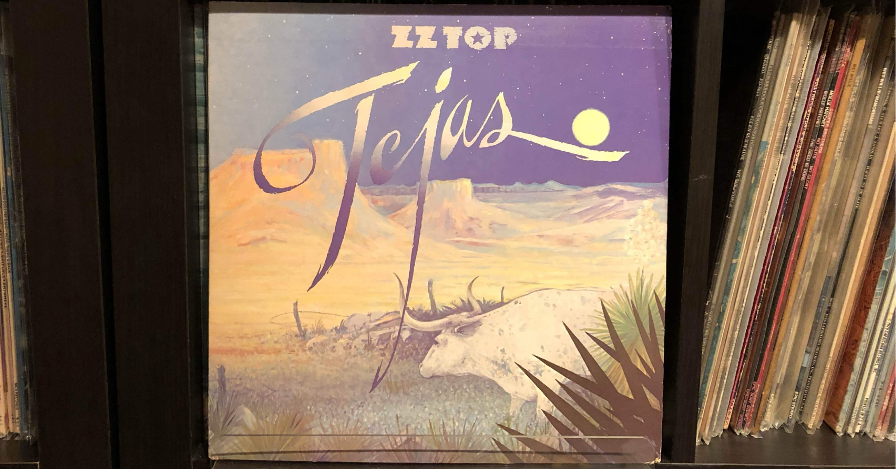 テハス／ZZトップ ('76)｜Takeshi Tada