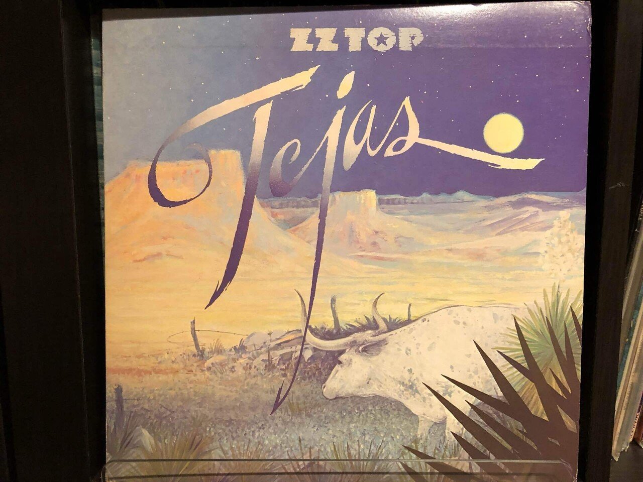 テハス／ZZトップ ('76)｜Takeshi Tada