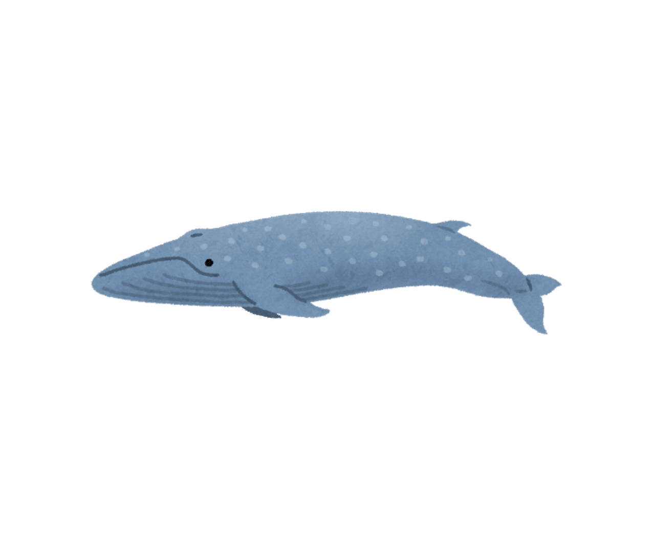 神田川にシロナガスクジラが現れる むぅにぃ Note