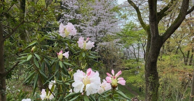 園遊会の愛子さまと里中満智子さん