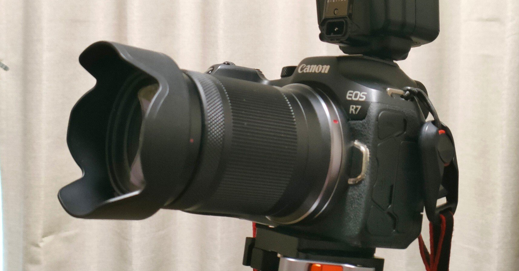 CanonのEOS R系APS-C機に新展開。RFマウントのサードパーティレンズ