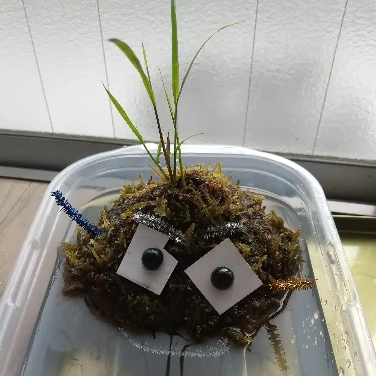 みゆのじのかたまり