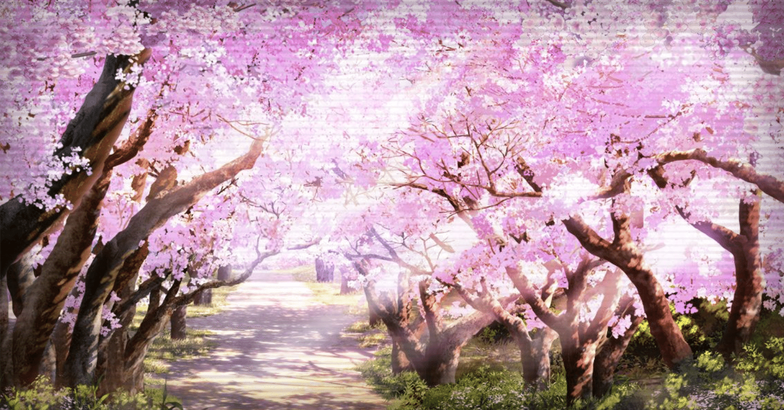 桜花拾】おもかげに色のみのこる桜花 ｜赤鮫