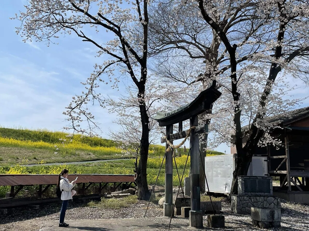 画像