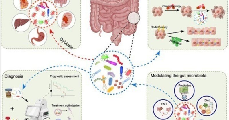 腫瘍形成と治療における腸内細菌叢の役割