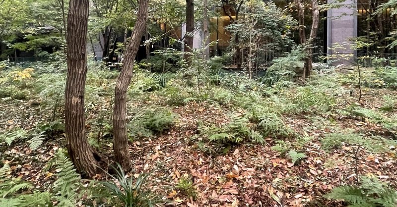 東京の中心で森林浴！？～近場の自然から生物多様性に触れる