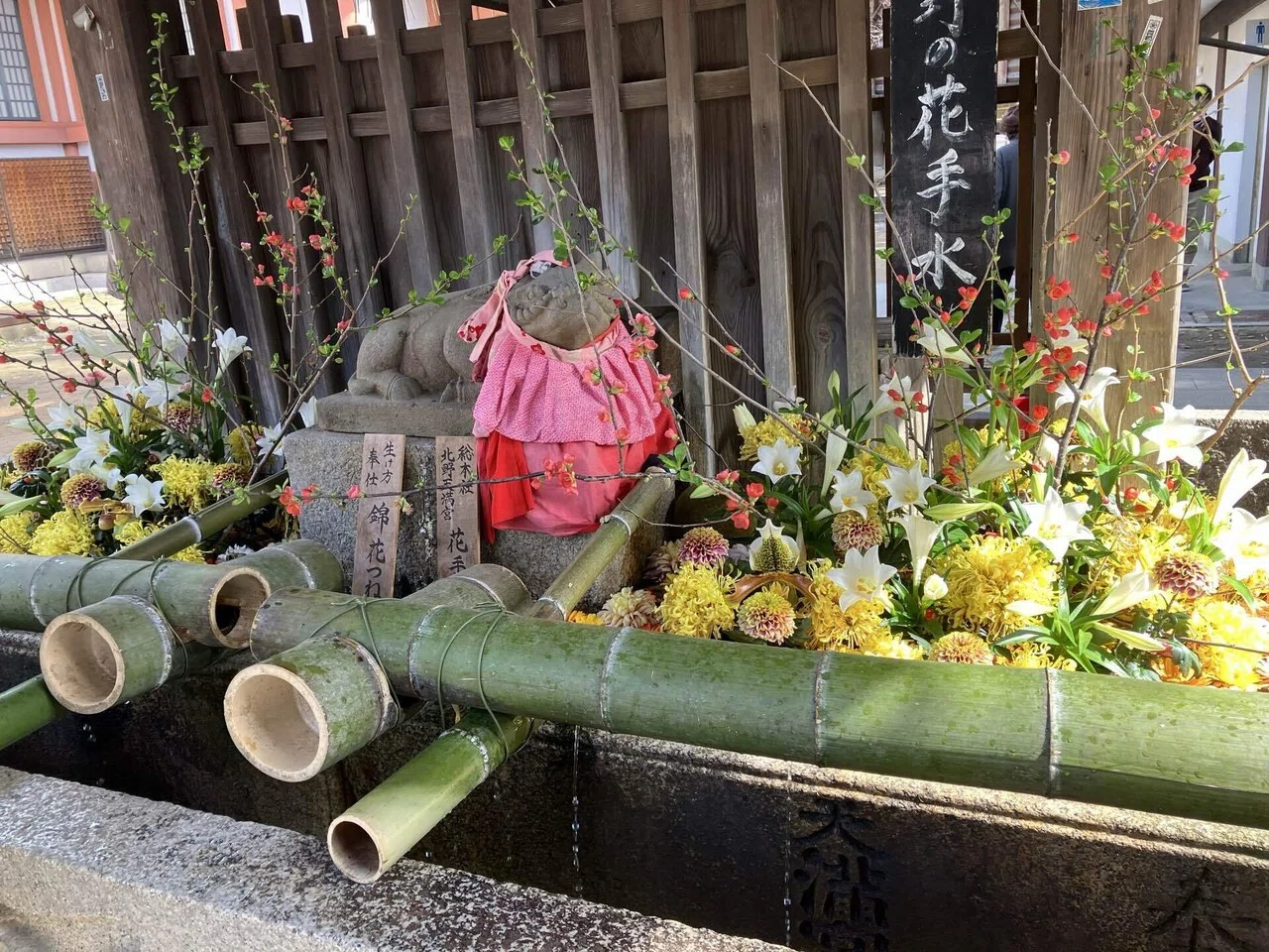 京都旅行2日目続き、北野天満宮、三十三間堂、京都タワー｜あくら