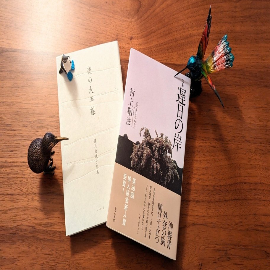 俳句の鑑賞《54》｜紫乃