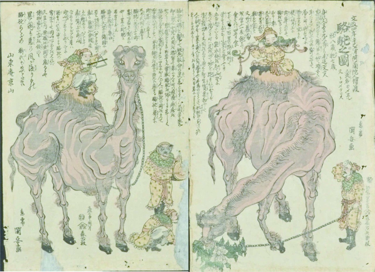 世界の駱駝（ラクダ）図柄の切手１０種　うちモンゴルが４種　癒されます！ 第3回「駱駝（らくだ）が江戸にやって来た！」｜アド