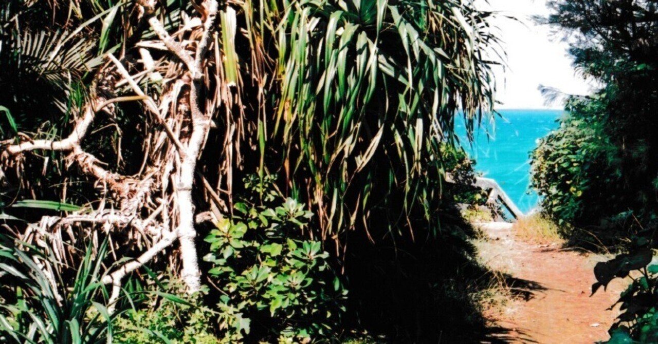 ショートエッセイ:神秘の島、久高島―沖縄の神々に導かれて｜じゅり